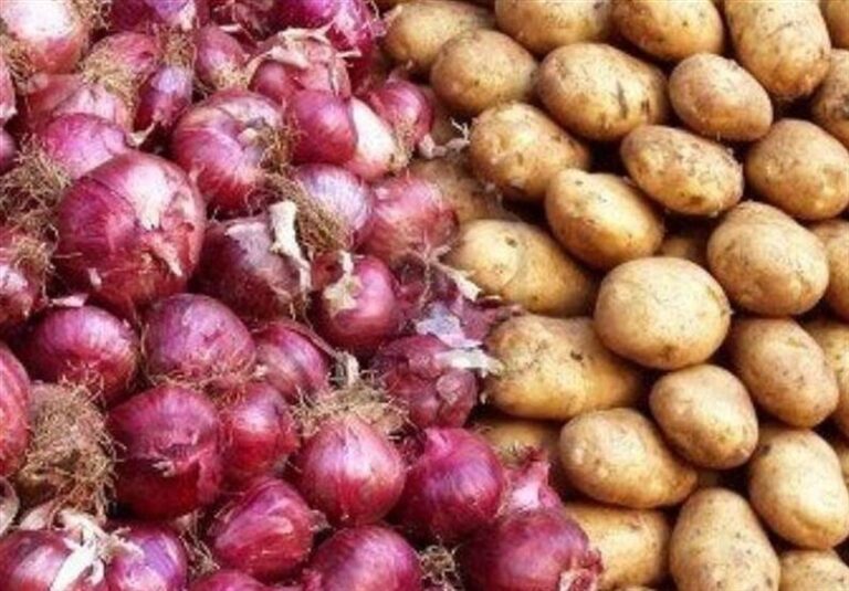 کمبودی در بازار میوه‌های ویژه شب یلدا وجود ندارد