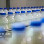 یونسی: ۱۷ میلیون کیلوگرم انواع فرآورده‌های لبنی از مازندران صادر شد