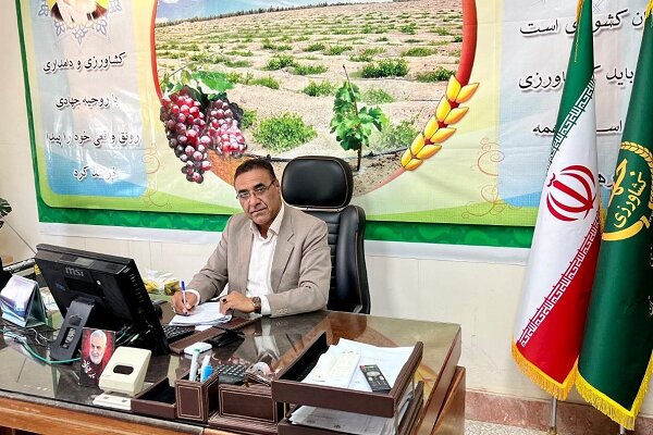 اقلیم متنوع سیستان و بلوچستان؛ بهشت رویش گیاهان دارویی کشور اقلیم متنوع سیستان و بلوچستان؛ بهشت رویش گیاهان دارویی کشور