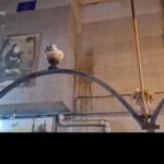 حمله اغتشاشگران به عباسیه خرم آباد با کوکتل مولوتوف