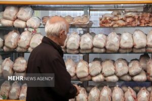 خودکفایی در تولید مرغ؛ غفلت از ترویج مصرف آبزیان در خراسان رضوی