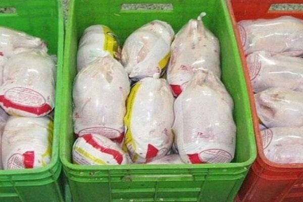 خودکفایی در تولید مرغ؛ غفلت از ترویج مصرف آبزیان در خراسان رضوی