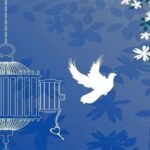 دانش‌آموزان لاهیجانی 3 زندانی جرایم غیرعمد‌ را آزاد کردند