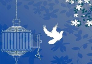 دانش‌آموزان لاهیجانی 3 زندانی جرایم غیرعمد‌ را آزاد کردند