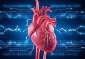 عوامل خطر بیماری‌های عروقی را بشناسیم