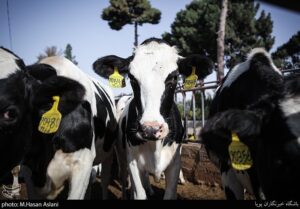 هسته‌ای در کشاورزی ــ 72 | مدیریت حشرات ناقل بیماری دامی + اینفوگراف