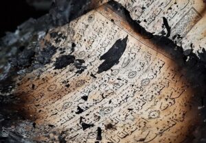 واکنش کاربران فضای مجازی به وحشی‌گری‌های اغتشاشگران مسلح