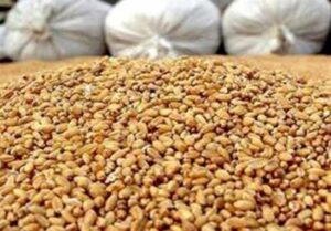 پرداخت تسهیلات برای خرید نهاده‌ با حذف ارز ترجیحی