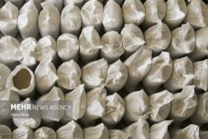 کشف ۷۹۰ تن نهادهای دامی و مواد نگهدارنده غذایی احتکاری و قاچاق