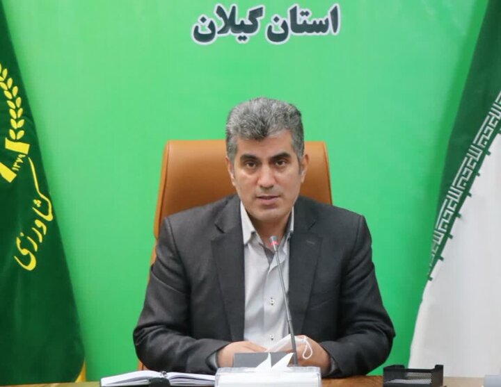 گرانی مرغ از مزرعه تا سفره؛ چرا هزینه تولید در گیلان بالا رفت؟