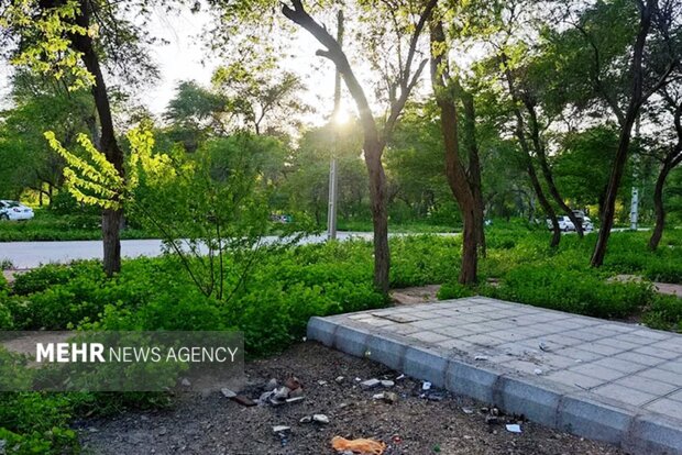 گمبوعه؛ از جنگل دست‌کاشت تا الگوی توسعه سبز در خوزستان