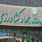 ابلاغ مصوبه دولت برای تسریع ترخیص نهاده‌های دامی