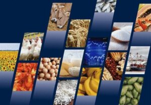 بررسی علل و راهکارهای مقابله با اتلاف مواد غذایی در زنجیره تامین