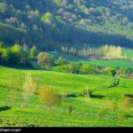 تولد "مرکز تخصصی هیرکانی" در قلب چالوس