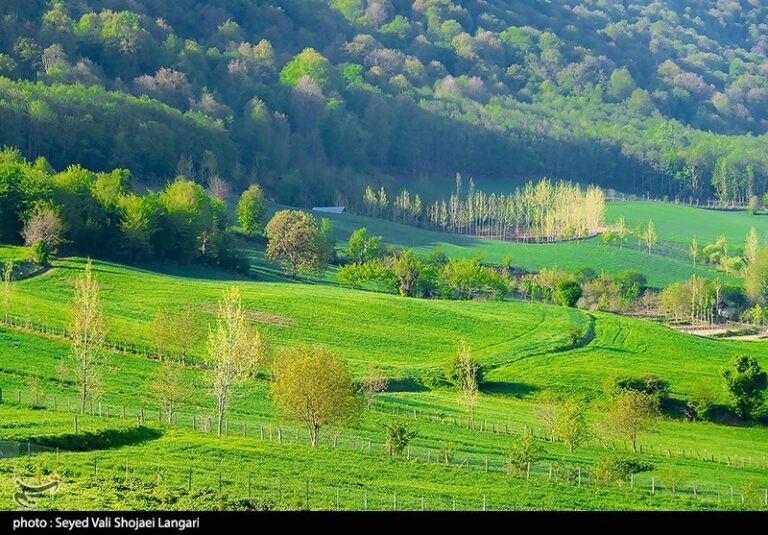 تولد “مرکز تخصصی هیرکانی” در قلب چالوس