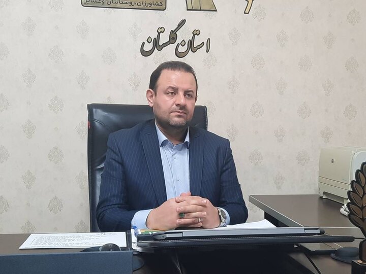 رشد۱۴درصدی بیمه‌شدگان و پرداخت ماهانه ۱۰۷میلیاردتومان مستمری در گلستان