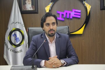 زمان واگذاری سهام شرکت های خودرویی مشخص شد