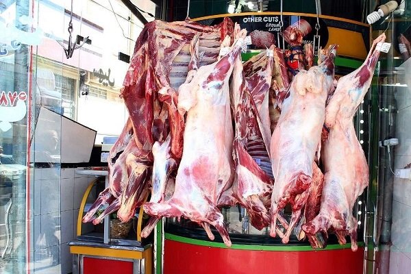 سلامت عمومی در خطر است؛ لزوم برخورد با کشتار غیرمجاز دام در کرمانشاه سلامت عمومی در خطر است؛ لزوم برخورد با کشتار غیرمجاز دام در کرمانشاه