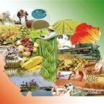 طرح ملی تنظیم بازار یکچارچه بخش کشاورزی آغاز شد