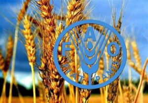 فائو: استفاده از فناوری هسته‌ای برای غلبه بر ناامنی غذایی ضروری است