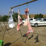 مدیرکل دامپزشکی کرمانشاه: مقابله با کشتار غیرمجاز اولویت ماست