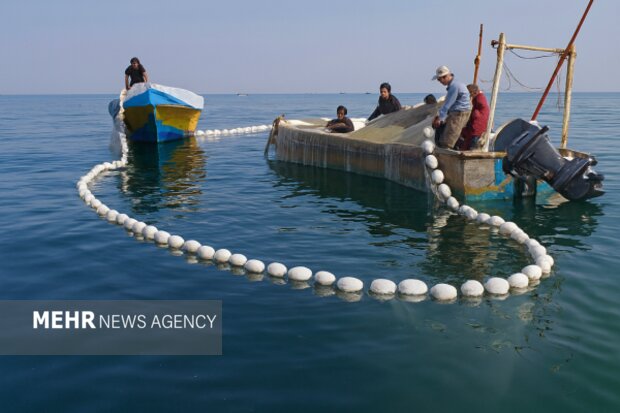 مسیر هوشمندسازی آبزی‌پروری در مازندران شتاب می‌گیرد