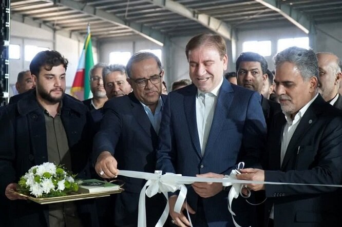 مظفری: زنجیره تولید آبزی‌پروری در بوشهر تکمیل می شود