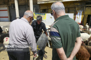 معاون دامپزشکی تهران از افزایش کشیک در ایام نوروز و رمضان خبر داد