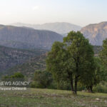 مهار آتش در زاگرس؛ وقتی مدیریت و مشارکت مردمی بر بحران غلبه می‌کند