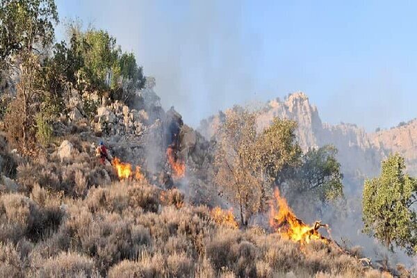 مهار آتش در زاگرس؛ وقتی مدیریت و مشارکت مردمی بر بحران غلبه می‌کند