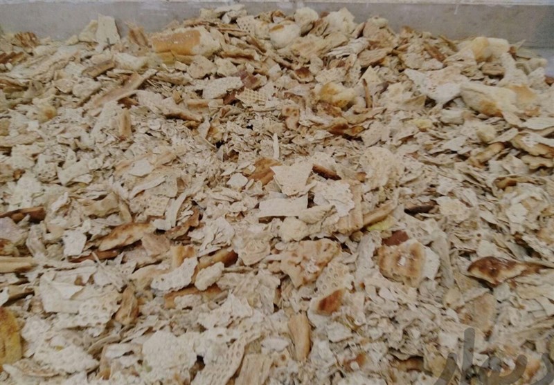 وقتی نان خشک خوراک دام‌‌ می‌شود!