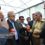 گلخانه ۲.۹ هکتاری فلفل دلمه‌ای رنگی در میناب افتتاح شد