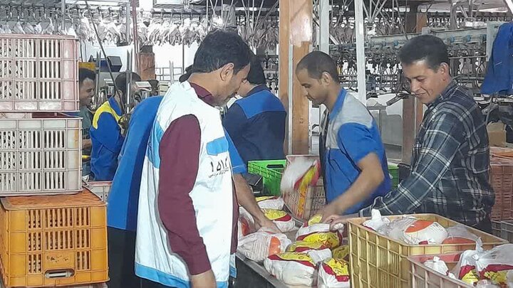 ۴۰ اکیپ دامپزشکی در استان بوشهر نظارت می‌کنند