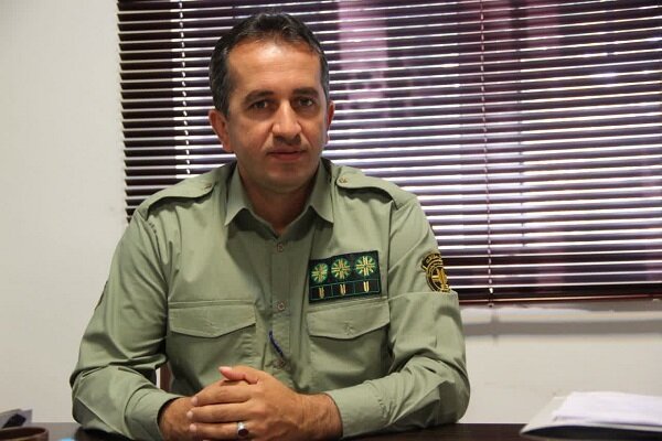 ۴۰ پرنده زخمی جهت تیمار به محیط زیست آستارا تحویل داده شد