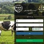 2 میلیون تن نهاده در بازارگاه بارگذاری شد/رفع منع صادرات مازاد تولید