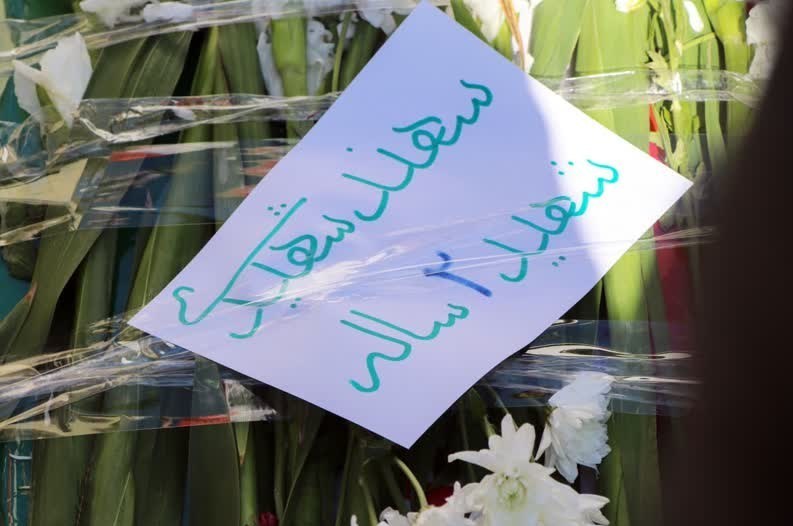 اخبار شیراز , اخبار استان فارس , 