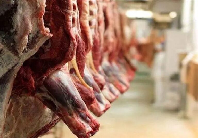 ترخیص گوشت در بنادر و استان‌های مرزی بدون مشکل