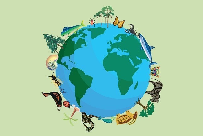 تهدید تنوع زیستی ایران در پی تجاوز نظامی