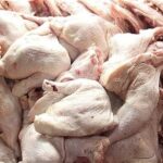 توزیع روزانه 2500 تن مرغ و گوشت قرمز در سطح تهران