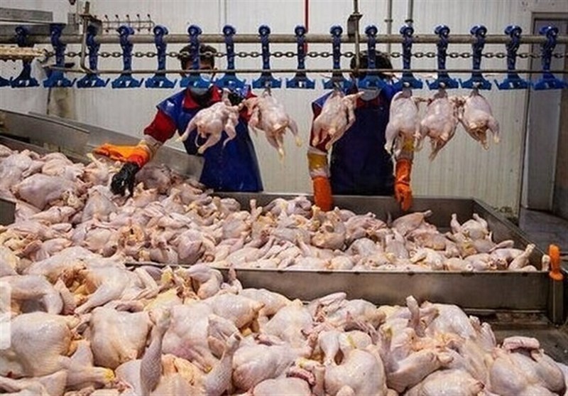 تولید شیر، مرغ و تخم مرغ 30 درصد بیشتر از نیاز داخل است