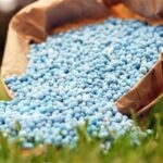 رشد 89 درصدی قیمت اوره / جهان در آستانه تورم مواد غذایی