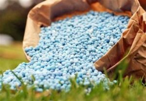 رشد 89 درصدی قیمت اوره / جهان در آستانه تورم مواد غذایی