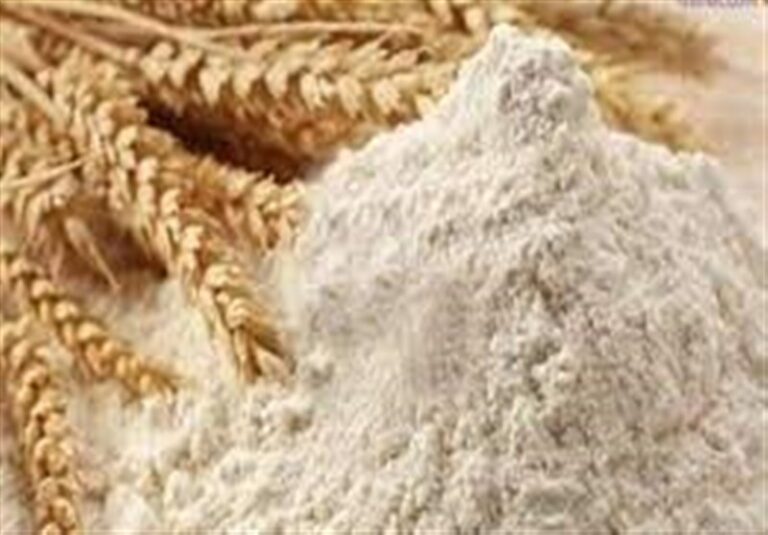 روزانه 2500 تن آرد در استان تهران توزیع می‌شود
