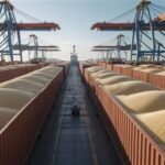 زنجیره تأمین غلات لحظه‌ای متوقف نمی‌شود