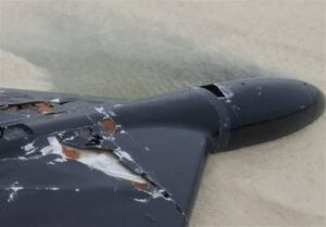 سرنگونی پهپاد لوکاس آمریکایی ‌در جنوب شرق ایران + عکس