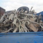 ممنوعیت حمل چوب در گلستان طی ایام نوروز