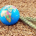 هشدار کارشناسان درباره بحران غذایی جهانی با بسته ماندن تنگه هرمز