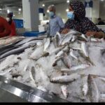 کمبودی در عرضه ماهی شب عید وجود ندارد