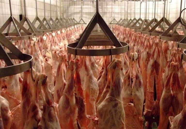 گوشت به وفور موجود است/ نیازی به استفاده از ذخایر استراتژیک نیست