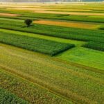 4 میلیون هکتار مراتع کشور در سال 1404 حفظ و احیا شد